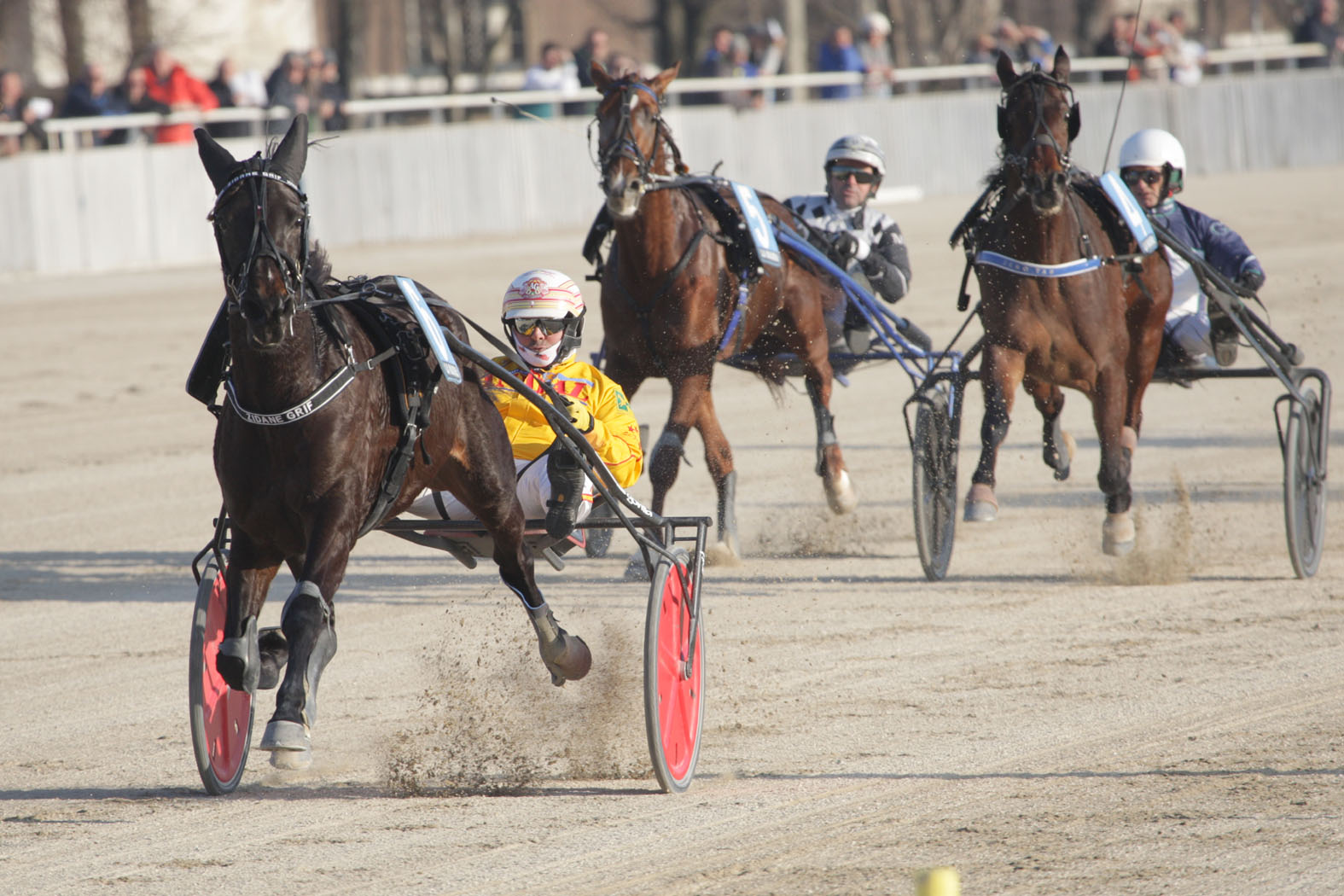 Ippodromo La Maura Milano Ippodromi Snai