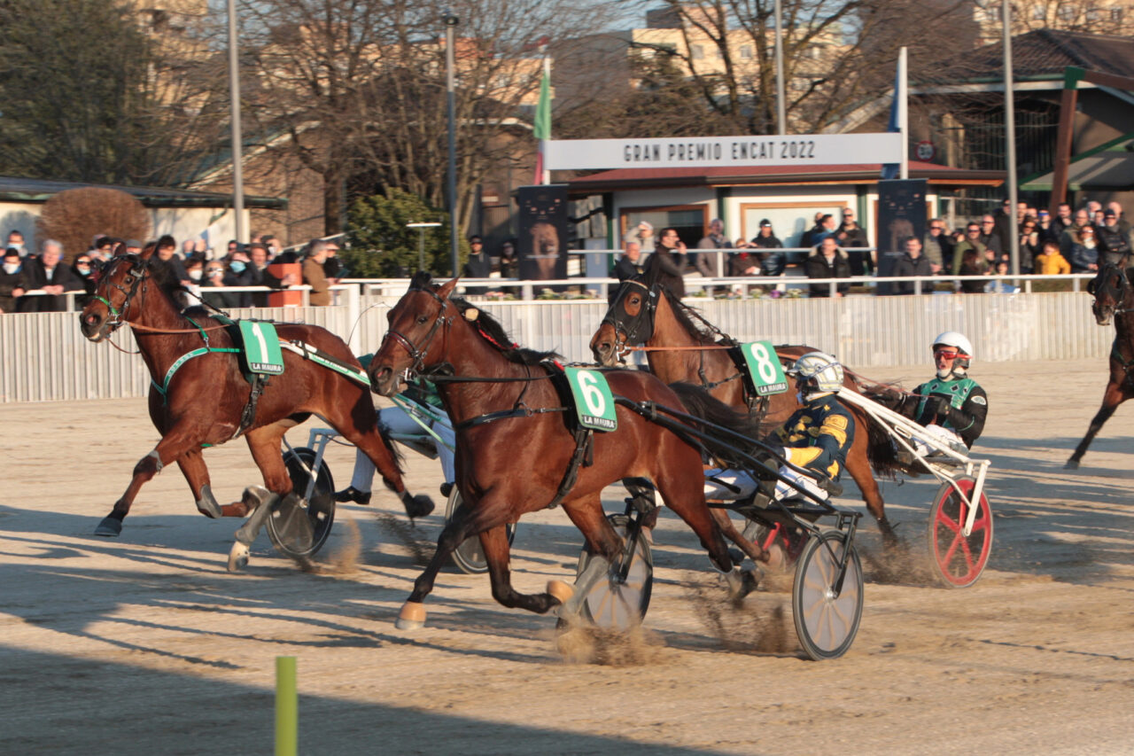 PARTENTI E NUMERI DEL GRAN PREMIO ENCAT 2023 DOMENICA 26 ALLIPPODROMO